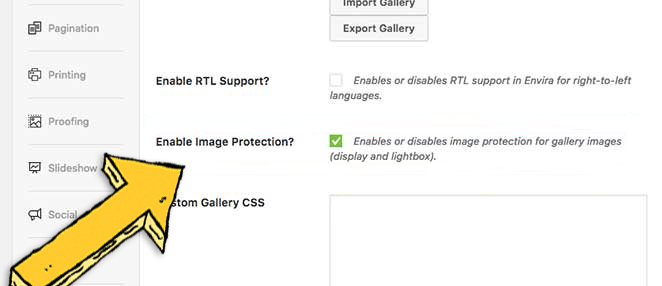 Robo de imágenes de tu sitio Proteccion de imágenes de Envira - La Tutoría