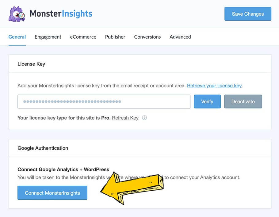 Ingresa la licencia de Monster Insights para verificar tu cuenta