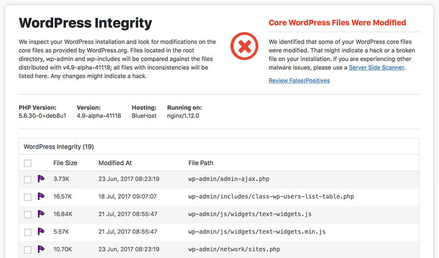 Reporte de actividades de WordPress